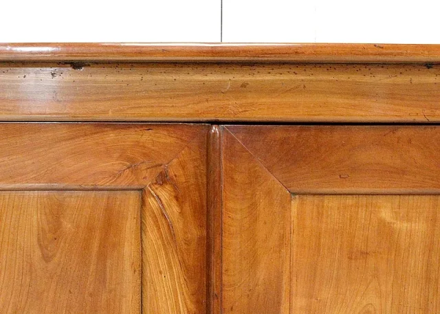 19th CENTURY FRENCH BUFFET