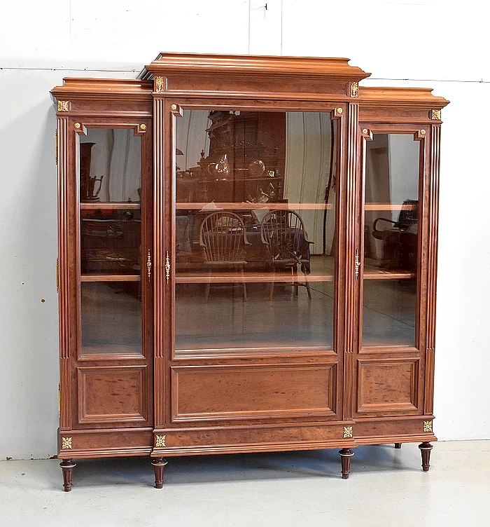 BOEKENKAST IN LOUIS XVI-STIJL