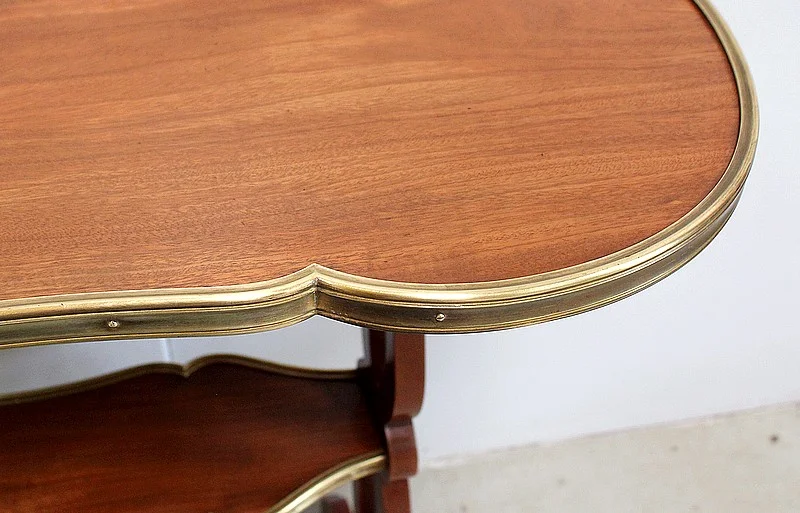 KIDNEY TABLE