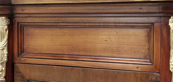 Bibliothèque en Merisier et Acajou, style Louis XVI - Début XXe