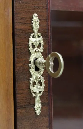 Bibliothèque en Merisier et Acajou, style Louis XVI - Début XXe