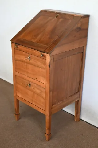 FRENCH DIRECTOIRE STYLE BUREAU