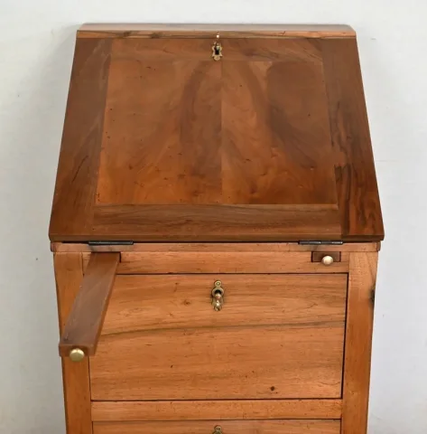 FRENCH DIRECTOIRE STYLE BUREAU
