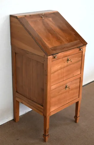 FRENCH DIRECTOIRE STYLE BUREAU