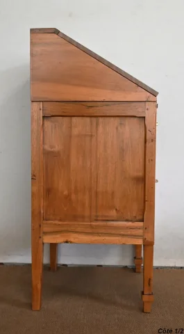FRENCH DIRECTOIRE STYLE BUREAU