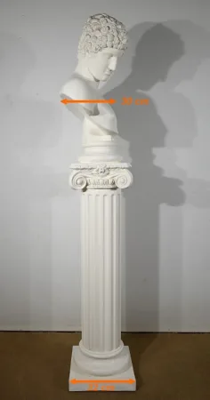 BUST ON COLUMN