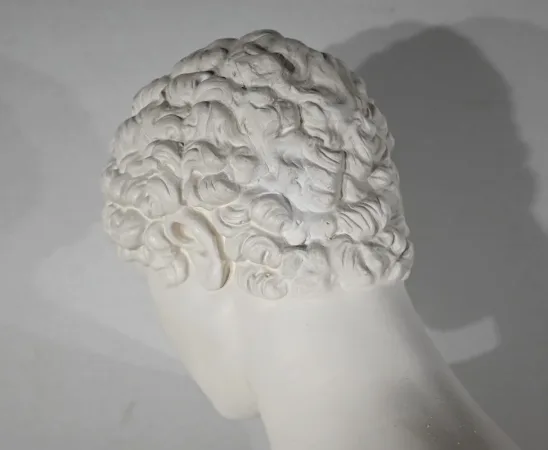 BUST ON COLUMN