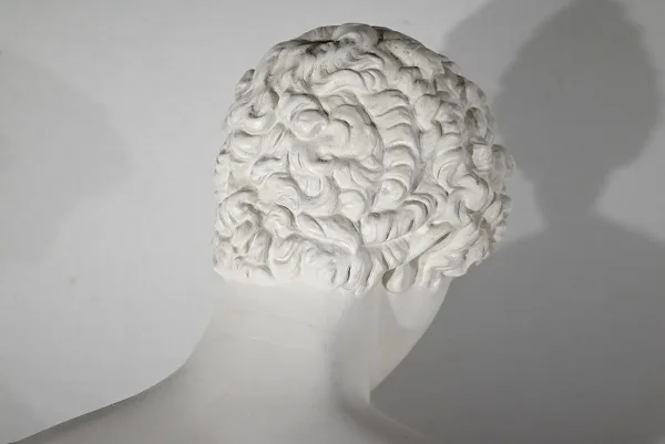 BUST ON COLUMN