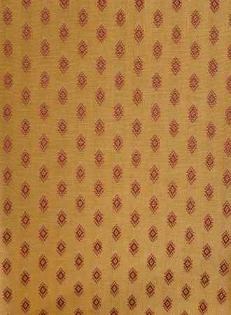 Paire de Fauteuils en Acajou, style Louis XVI – 2ème partie XIXe