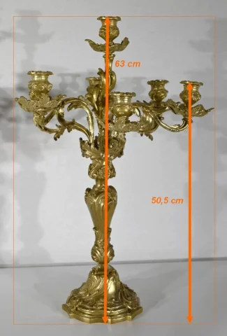 Important Candélabre en Bronze Doré, style Louis XV – Fin XIXe