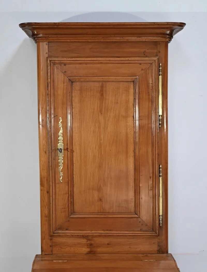 NINETEENTH CENTURY CABINET