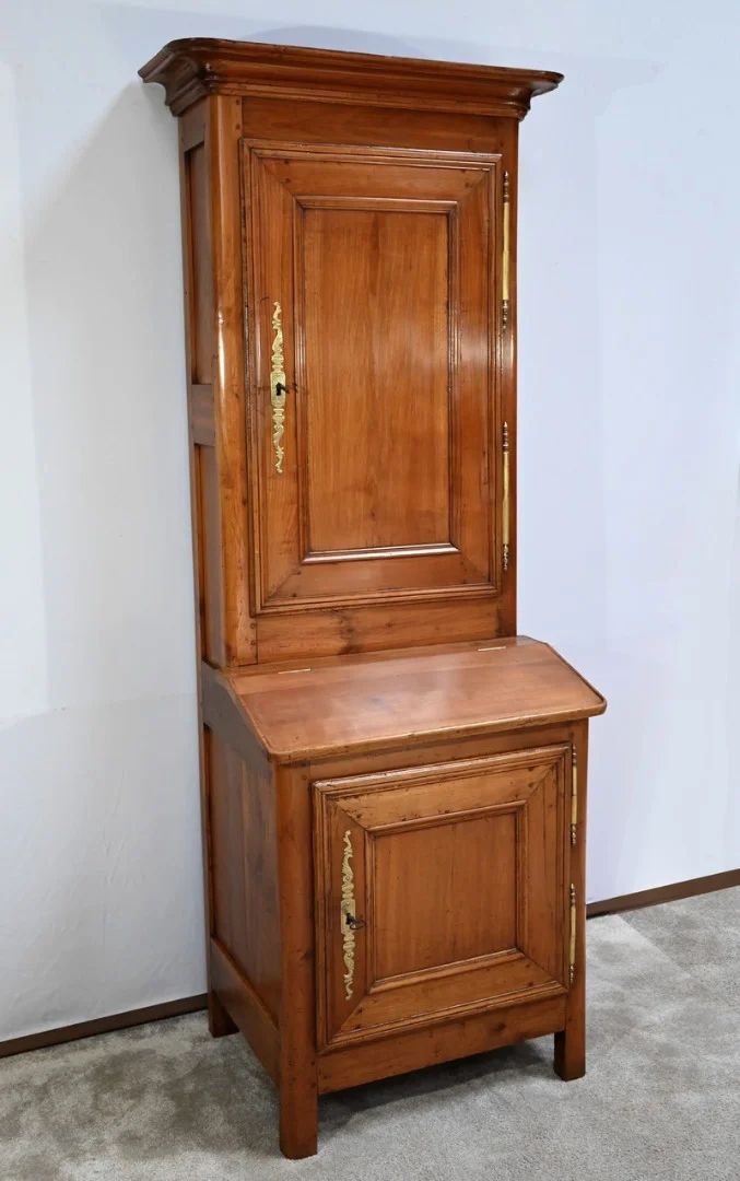 NINETEENTH CENTURY CABINET