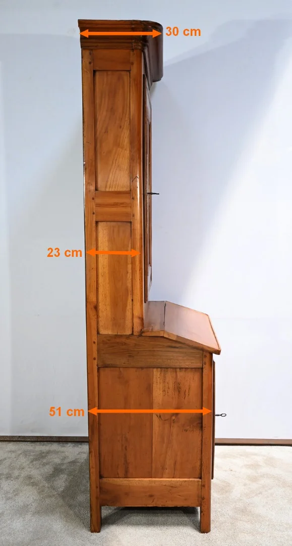 NINETEENTH CENTURY CABINET