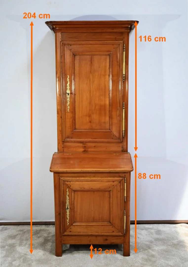 NINETEENTH CENTURY CABINET