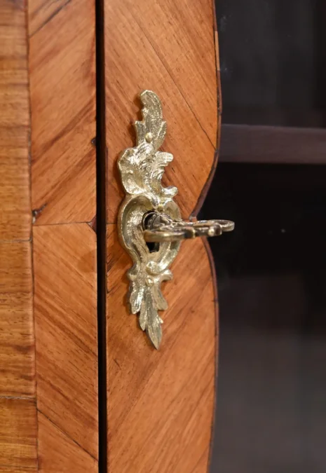 LOUIS XV STYLE DISPLAY CABINET