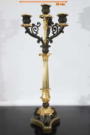 PAIR OF FRENCH  RESTAURATION PERIOD CANDELABRA