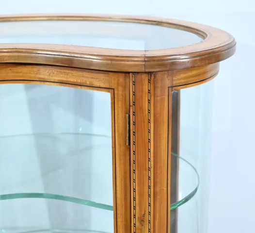 NIERVORMIGE DISPLAYKAST