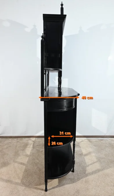 NAPOLEON III STYLE CABINET