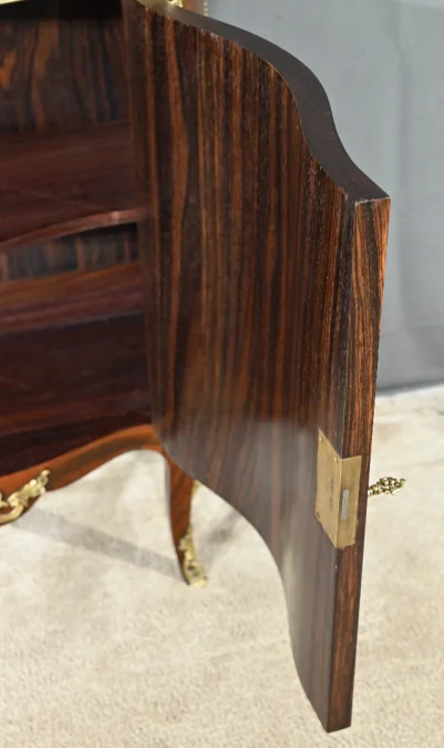 LOUIS XV STYLE DISPLAY CABINET