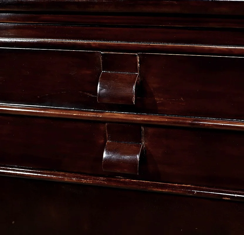 COPPIA DI BUFFET IN STILE GIAPPONESE