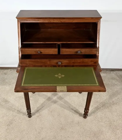 LOUIS PHILIPPE PERIOD LADY'S DESK