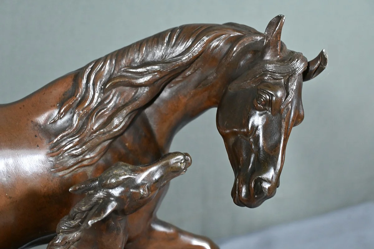 GRUPO SPELTER firmó E. LOOISEAU