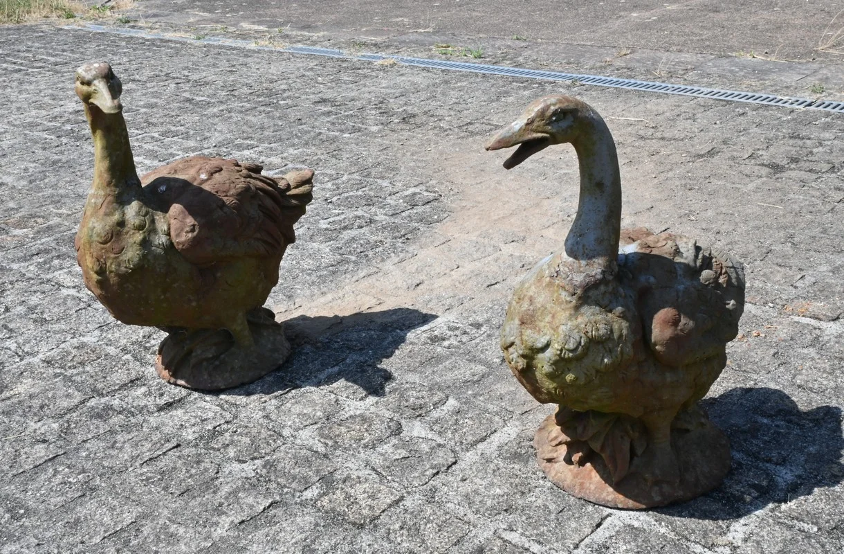 Paire de Canards en Fonte – XXe