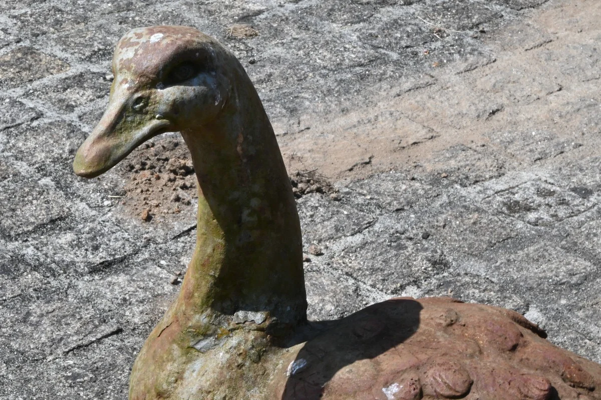 Paire de Canards en Fonte – XXe