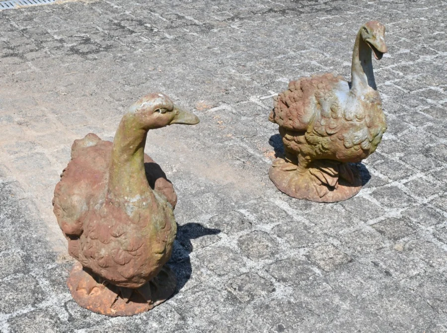 Paire de Canards en Fonte – XXe