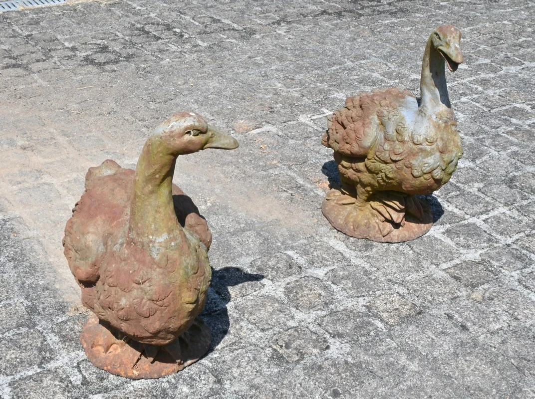 Paire de Canards en Fonte – XXe