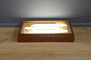 Vitrine de Présentation en Laiton et Orme - 1950