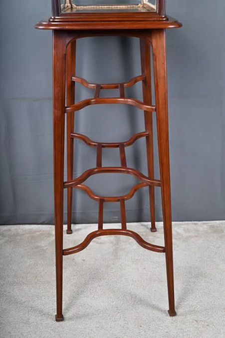 Vitrine de Présentation en Acajou, Art Nouveau – 1900