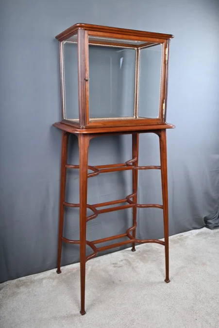 Vitrine de Présentation en Acajou, Art Nouveau – 1900