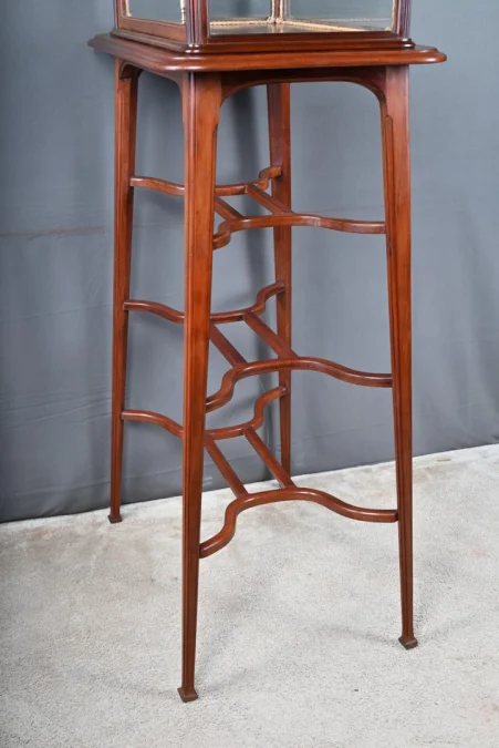 Vitrine de Présentation en Acajou, Art Nouveau – 1900