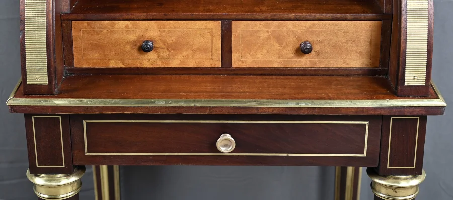 LOUIS XVI STYLE CABINET