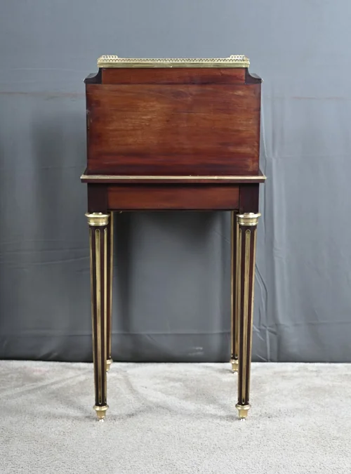 LOUIS XVI STYLE CABINET