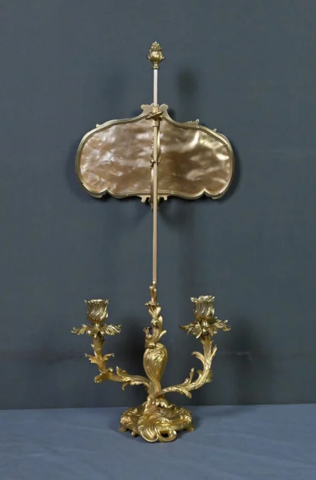 Chandelier à Écran en Bronze doré, style Louis XV – Milieu XIXe