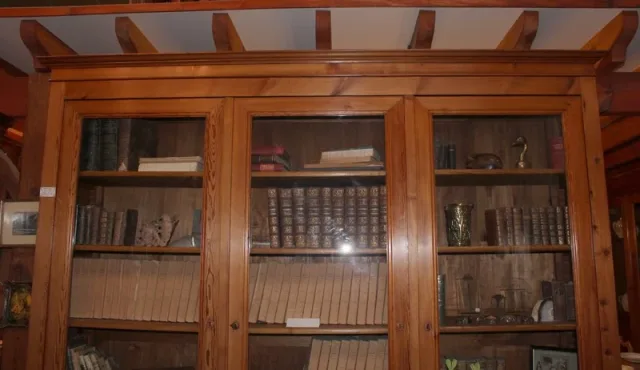 LIBRERÍAS DE PINO