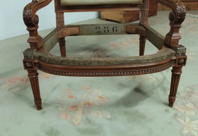 Fauteuil bas Louis XVI en noyer XIXe