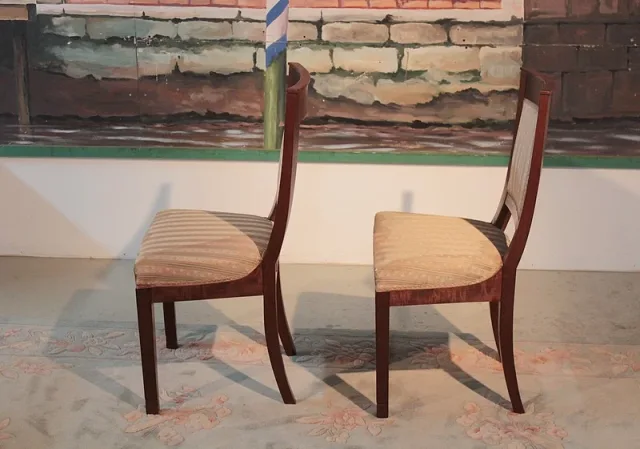 DIRECTOIRE STYLE CHAIRSのペア