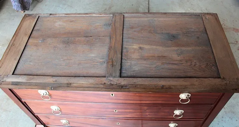 DIRECTOIRE STYLE CHEST OF DRAWERS
