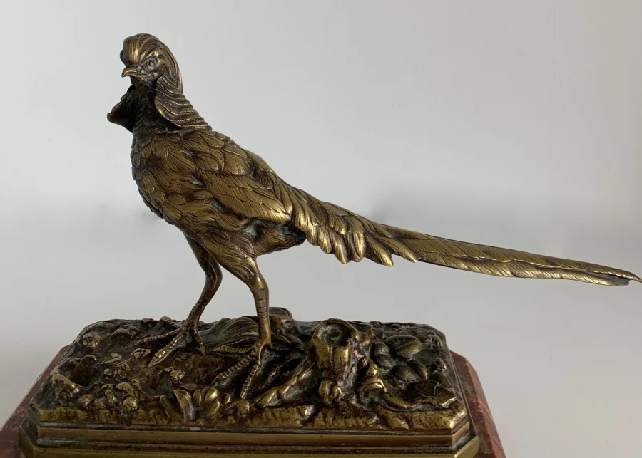 Le faisan doré , Sujet en bronze animalier,