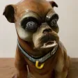 Bouledogue Porte Parapluie En Faïence , Signé Sous Une Patte Thurner Wasmuel