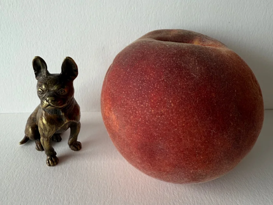 Objet 176450