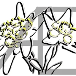 Antiquités Edelweiss